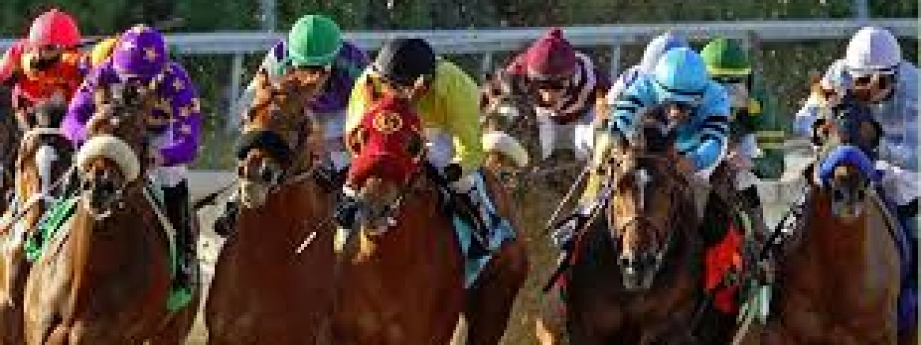 Night At The Races: Buy Tickets Online