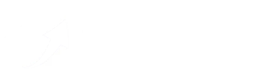BEW - The Digital Infrastructure Edition