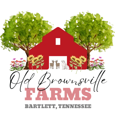 Farm-to-Table Dinner