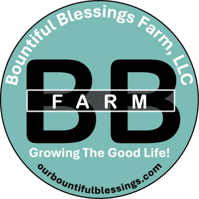 Beginner's Felting Workshop