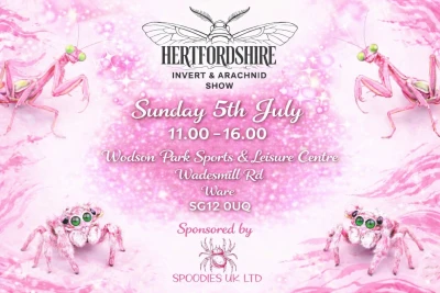 Hertfordshire Invert and Arachnid show 2